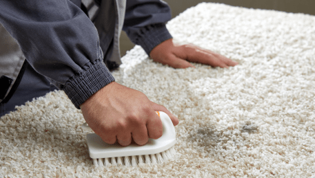 Professional Rug Cleaning Hoddles Creek